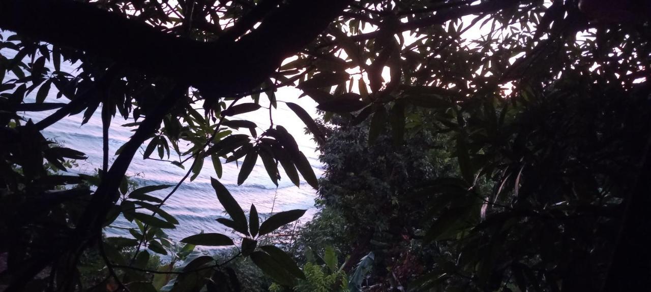 Treehouse Above The Beach Port Antonio Exterior photo