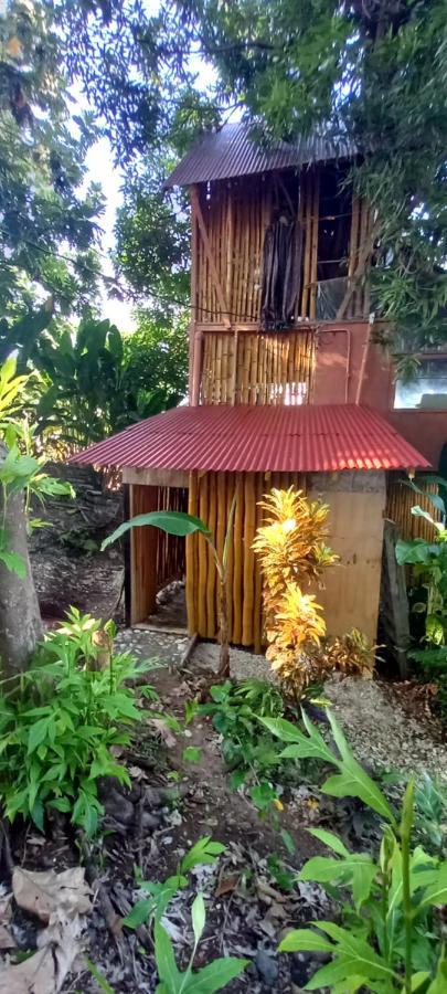 Treehouse Above The Beach Port Antonio Exterior photo