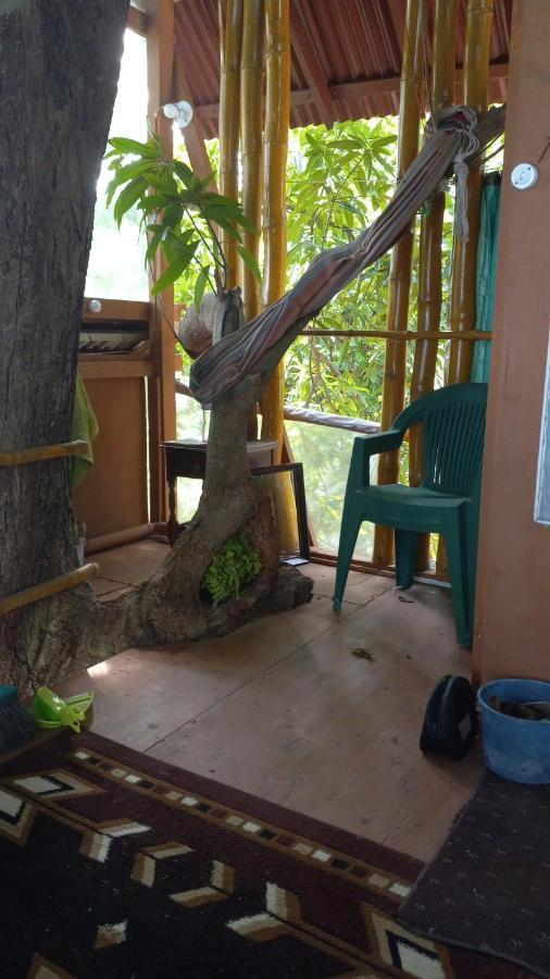 Treehouse Above The Beach Port Antonio Exterior photo