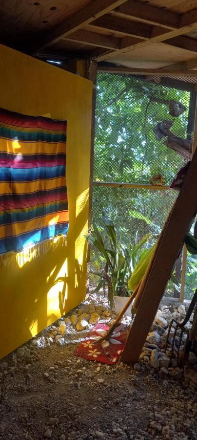 Treehouse Above The Beach Port Antonio Exterior photo
