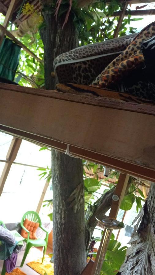 Treehouse Above The Beach Port Antonio Exterior photo