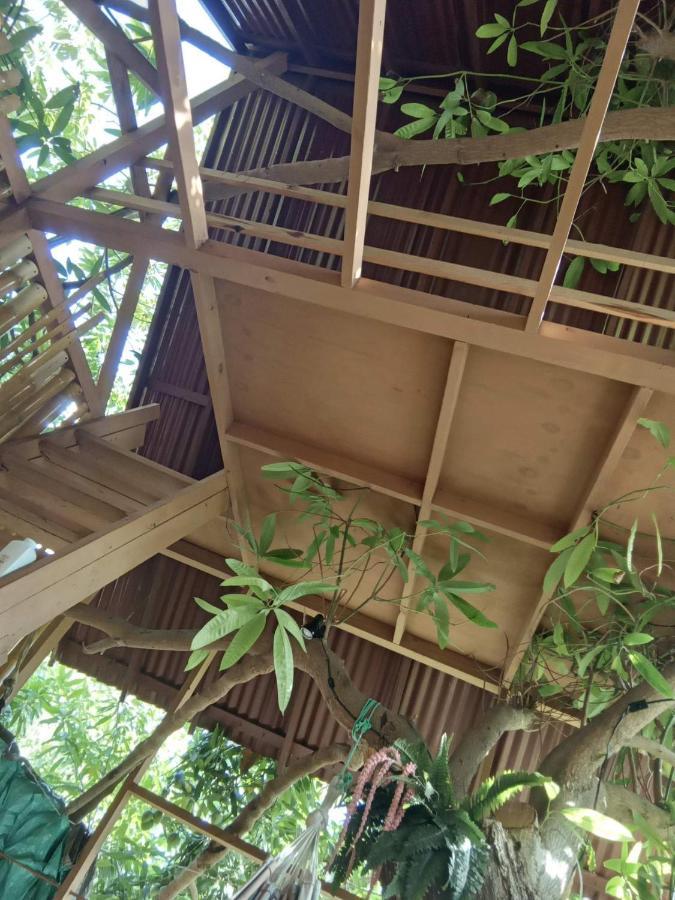 Treehouse Above The Beach Port Antonio Exterior photo