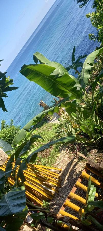 Treehouse Above The Beach Port Antonio Exterior photo