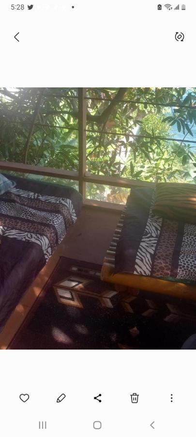 Treehouse Above The Beach Port Antonio Exterior photo