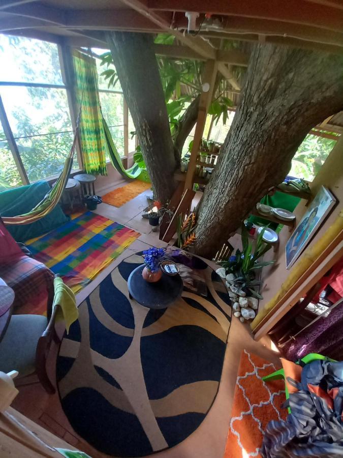 Treehouse Above The Beach Port Antonio Exterior photo