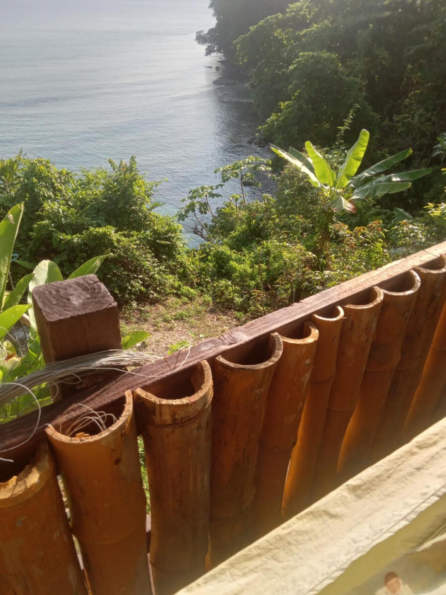 Treehouse Above The Beach Port Antonio Exterior photo